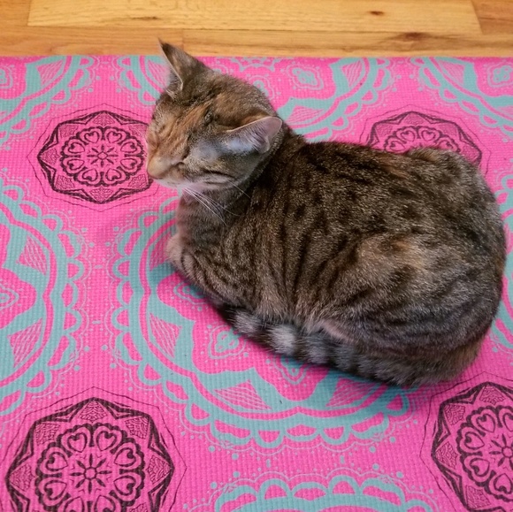 Meet your Posher, Amanda - Picture 1 of 1